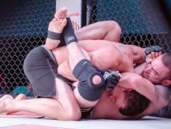 Brazilian Jiu-Jitsu – How To Use BJJ in a MMA Fight